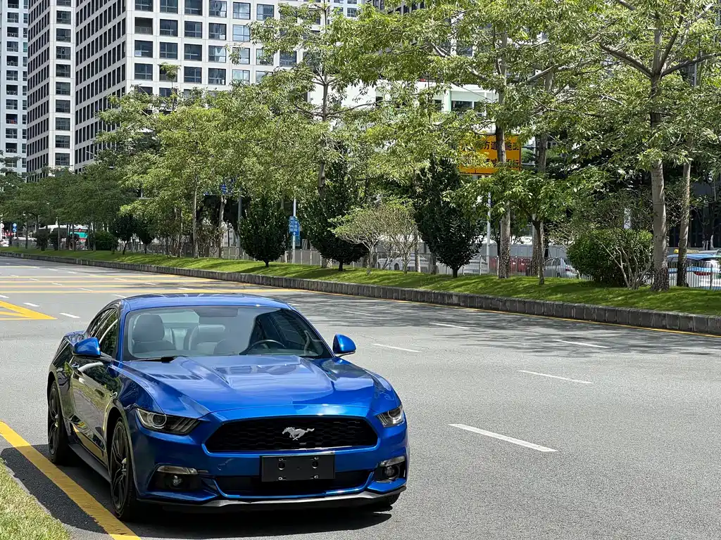 Ford Mustang — миниатюра 3