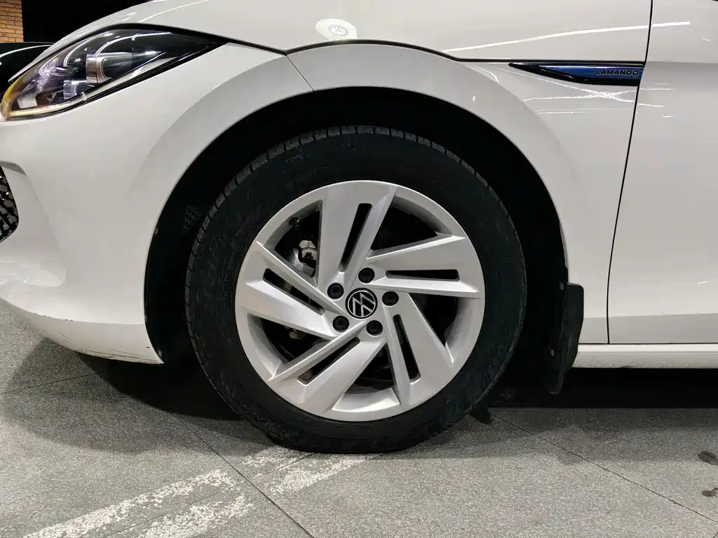 Volkswagen Lamando — миниатюра 15