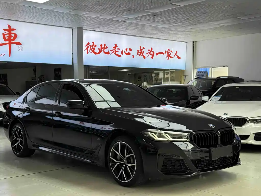 BMW 5 Series — миниатюра 19