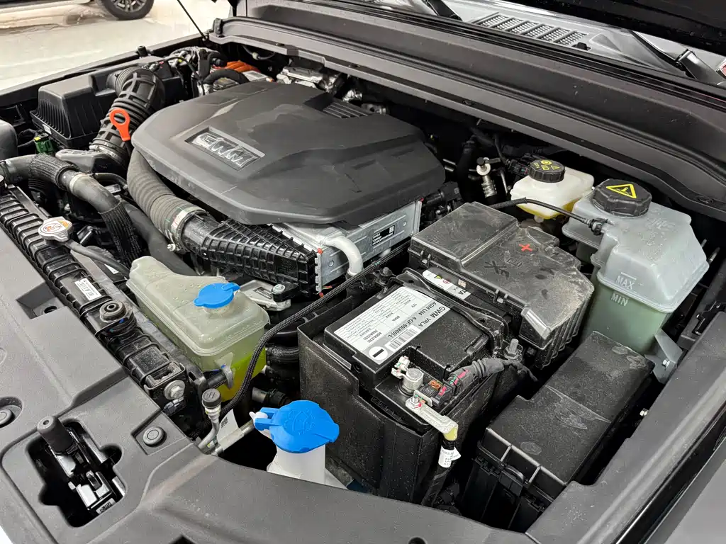 Tank 300 New Energy Hi4-T 37.1kWh, фото 11