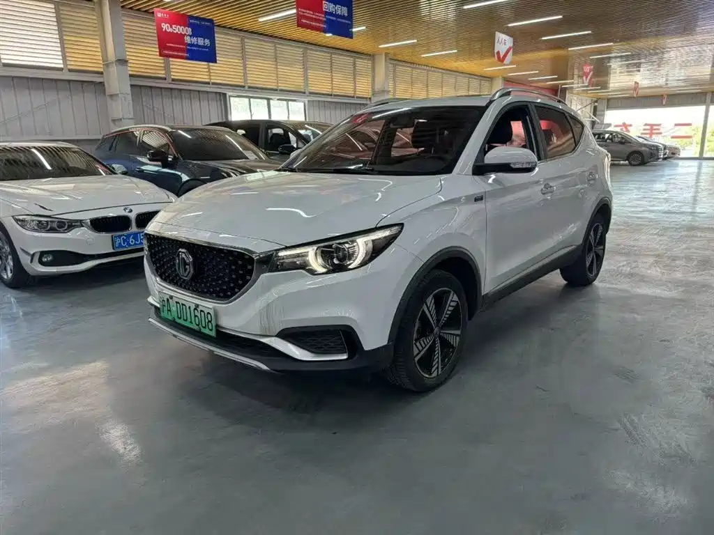 Mg EZS 2019
