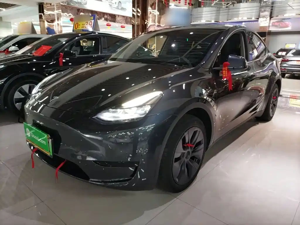 Tesla Model Y — миниатюра 2