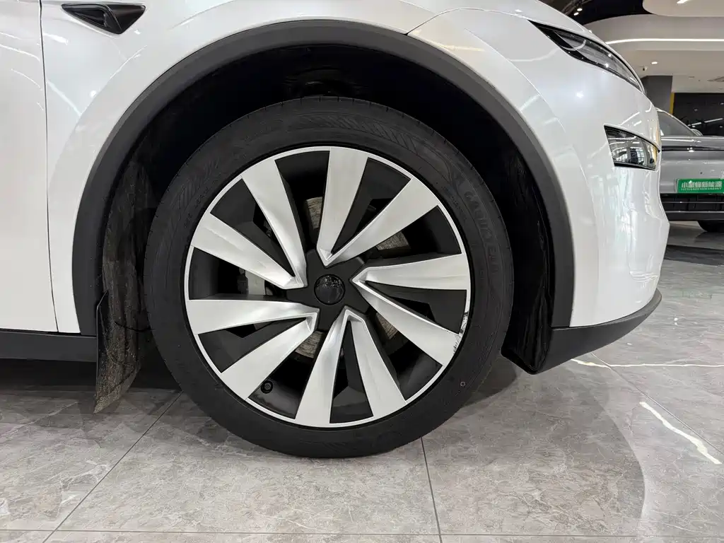 Tesla Model Y — миниатюра 13