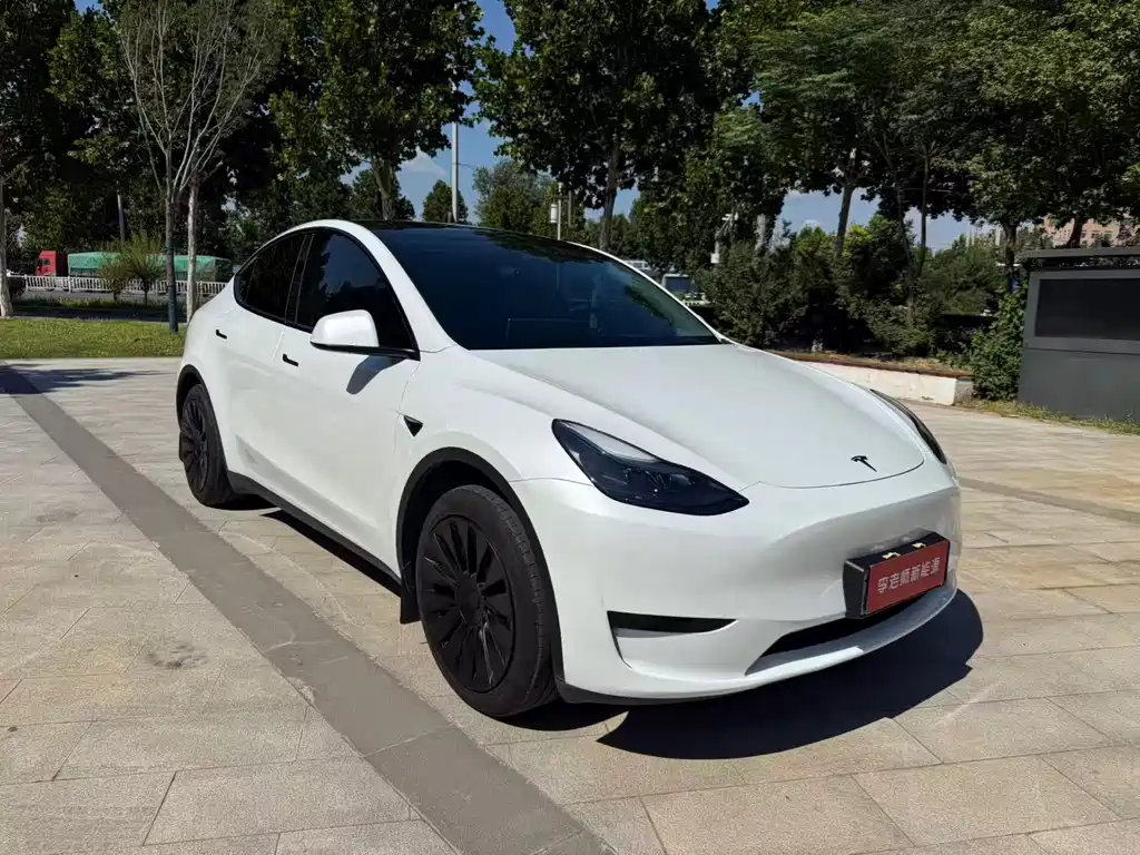 Tesla Model Y — миниатюра 3