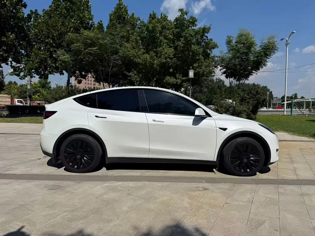 Tesla Model Y — миниатюра 4