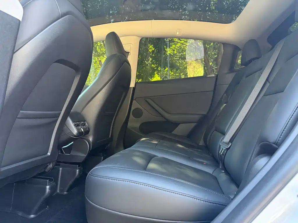 Tesla Model Y — миниатюра 14