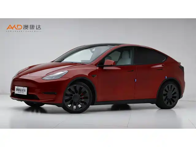 TESLA MODEL Y 2021