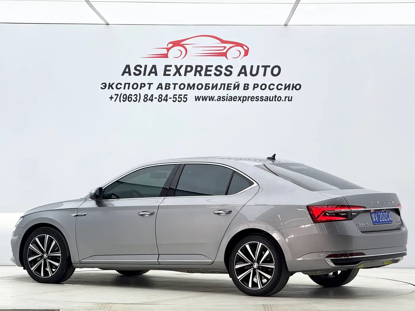 Skoda Speed pie id 4583722 из Китая 17