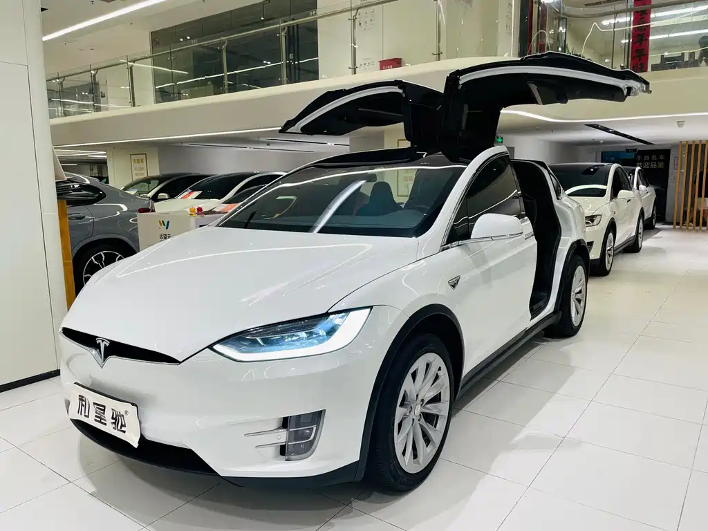Tesla Model X 2019