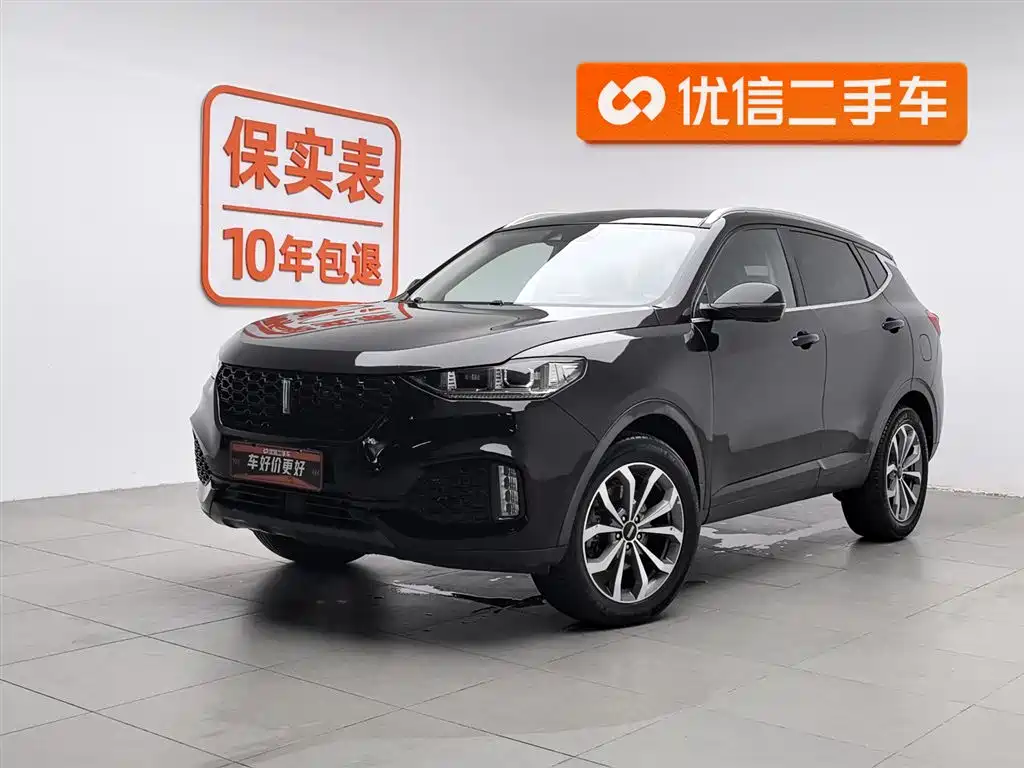 Wey Wey VV6 2019