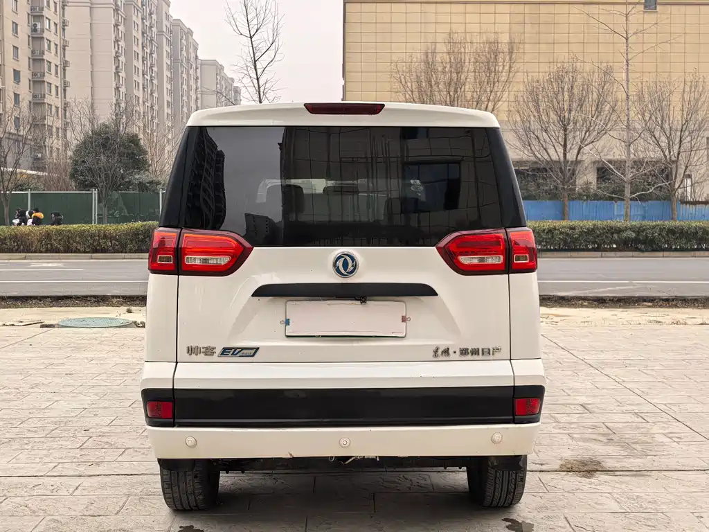 DONGFENG SHUAIKE NEW ENERGY