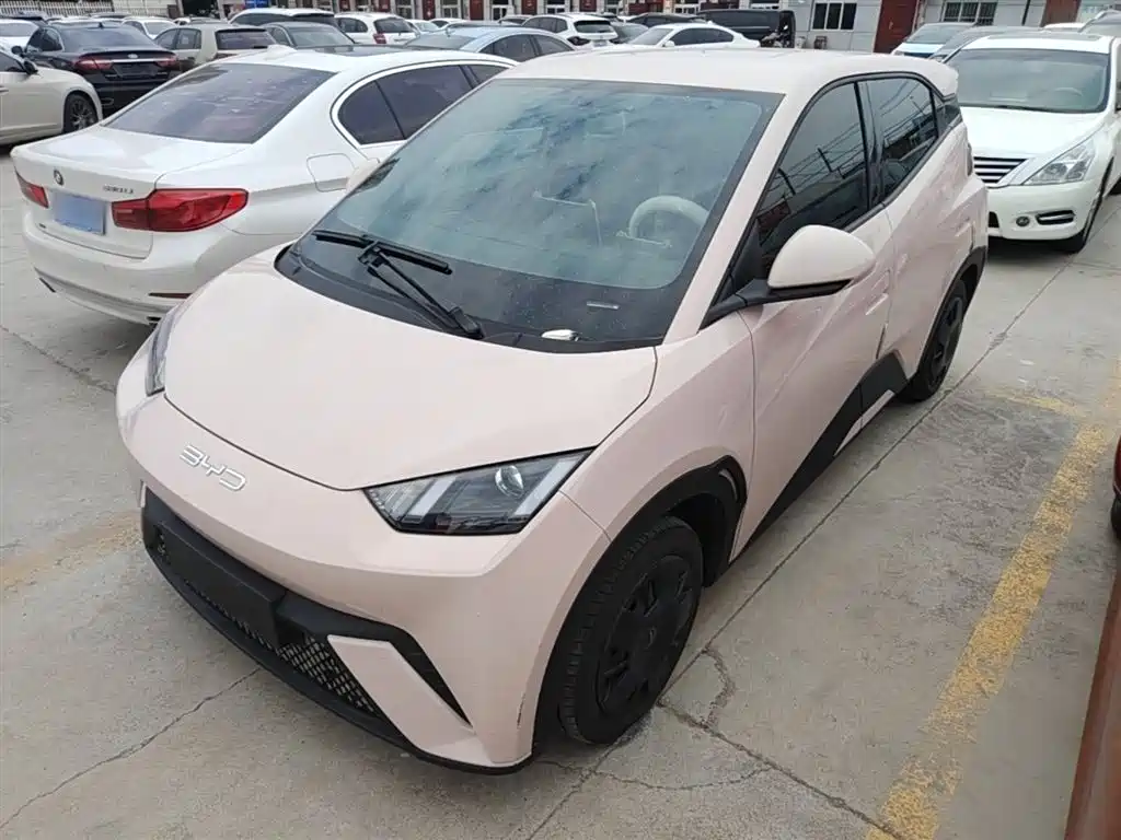 Byd Seagull 2024