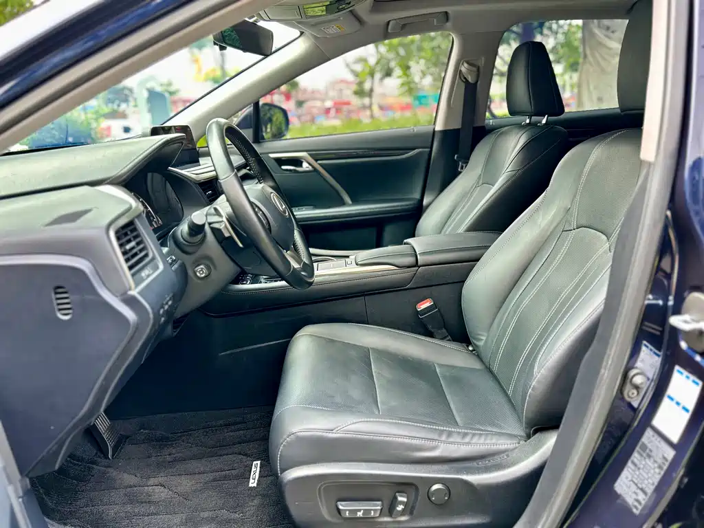 Lexus RX 2020 300 Elegant VI