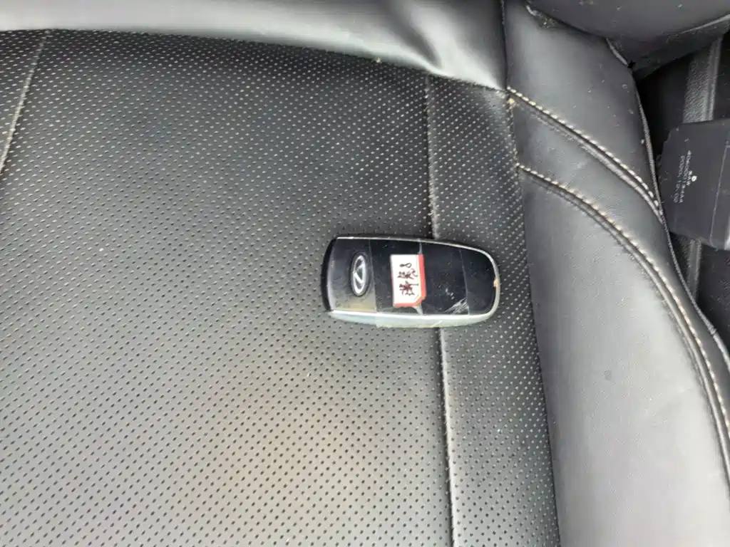 Chery Tiggo 8 PLUS — миниатюра 17