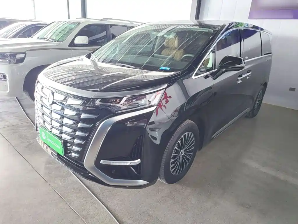 Denza Denza D9 — миниатюра 2