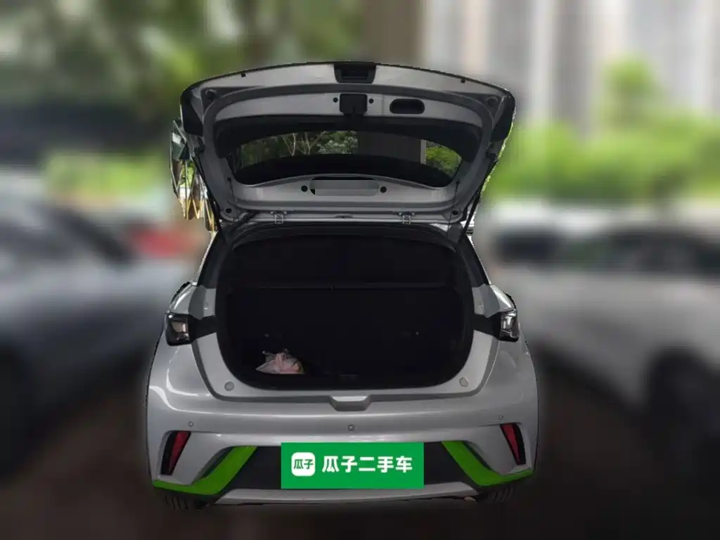 BYD Dolphin — миниатюра 10