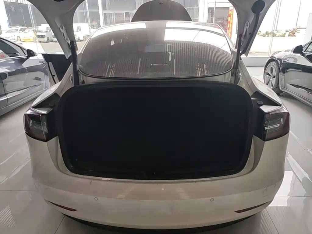 Tesla Model 3 — миниатюра 19