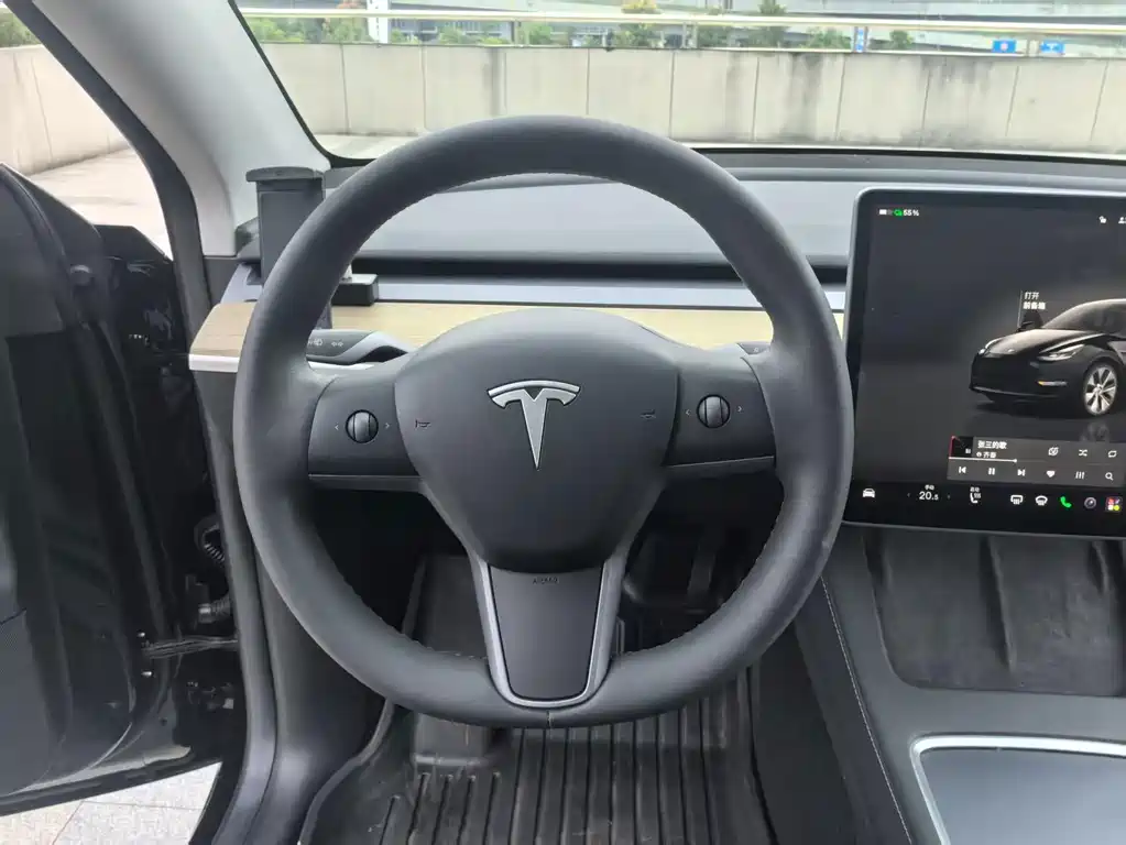 Tesla Model Y — миниатюра 11