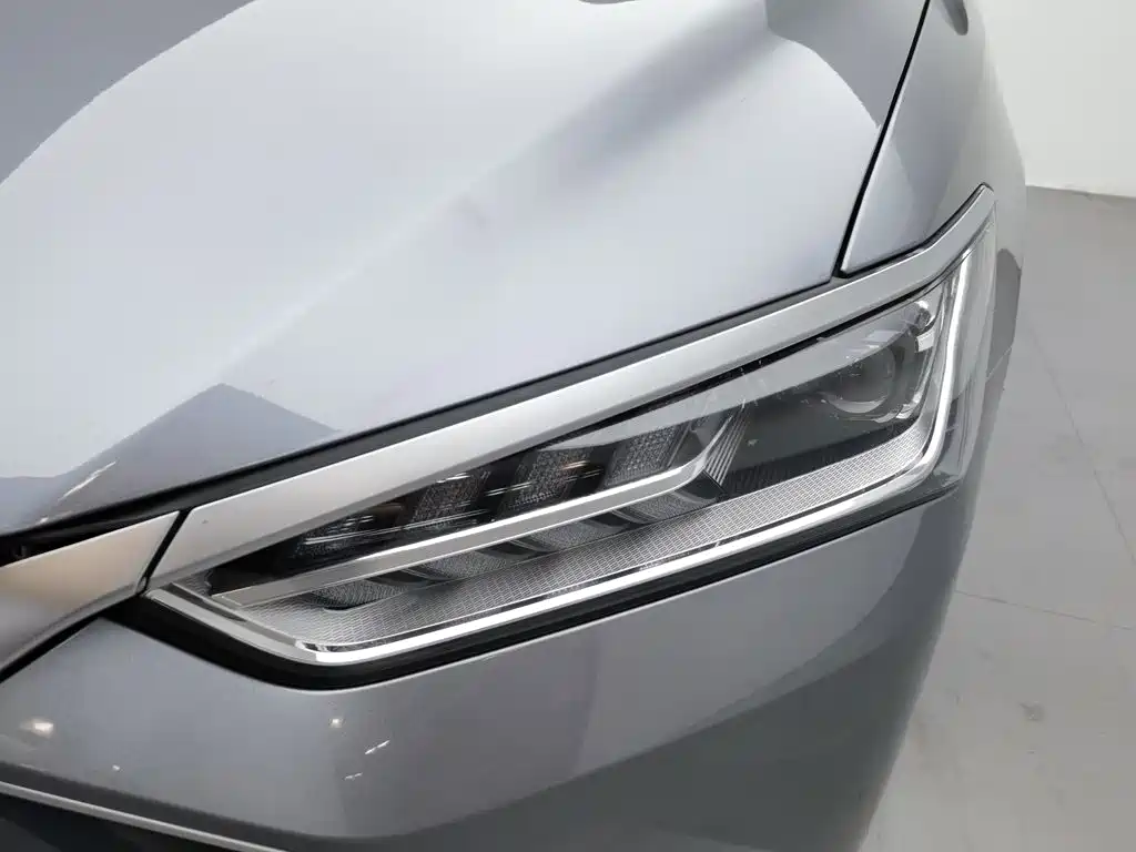 BYD Qin Plus PLUS 2024 DM-i 55KM Lead