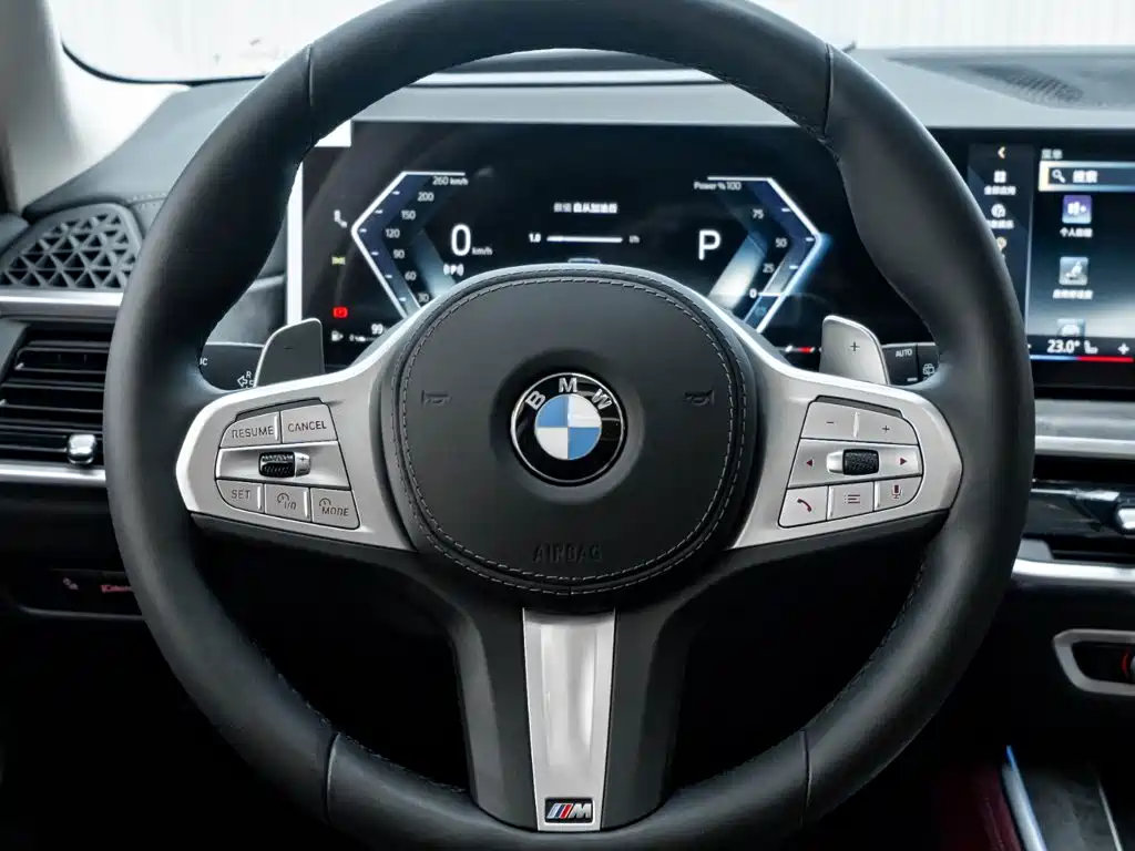 BMW X5 — миниатюра 16