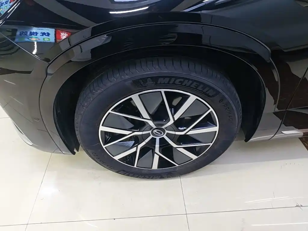 GAC Motor Trumpchi Xiangwang S9 — миниатюра 23