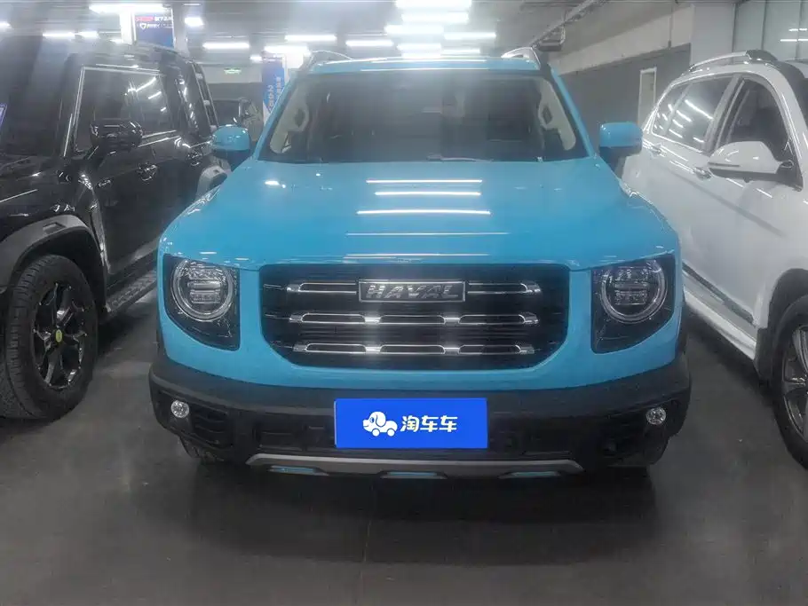 HAVAL BIG DOG