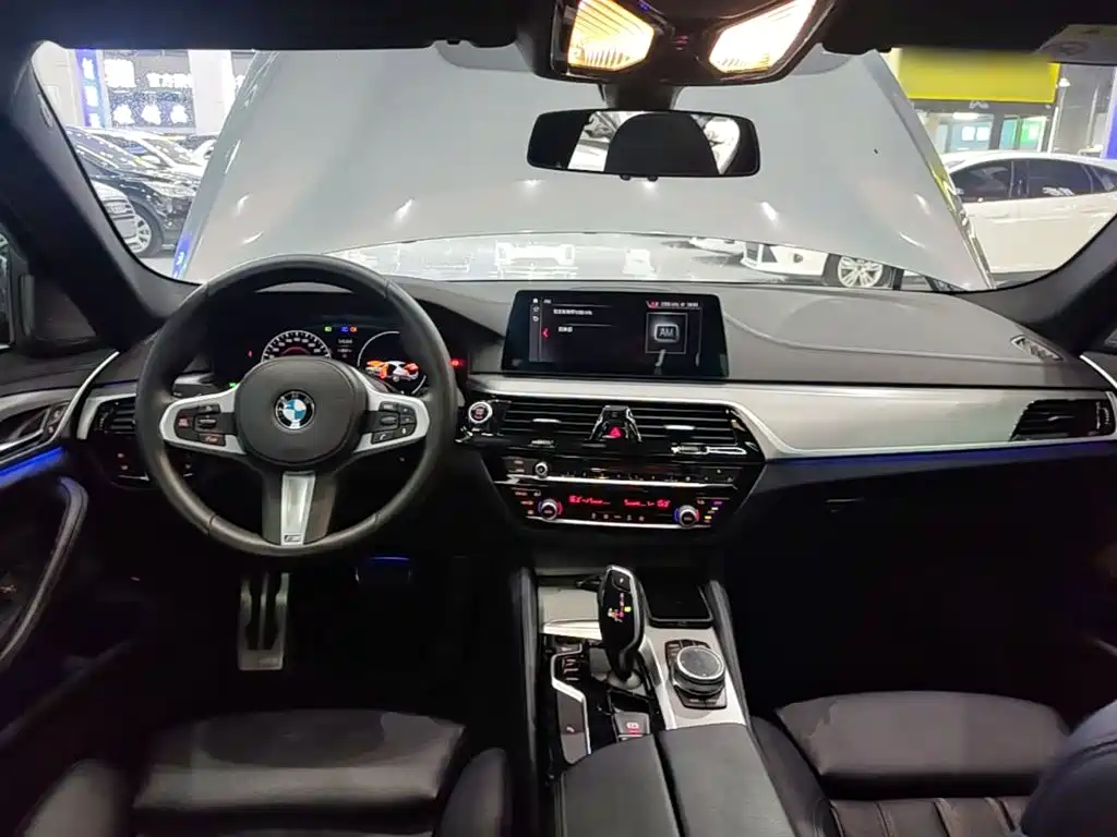 BMW 5 Series (Import) — миниатюра 10