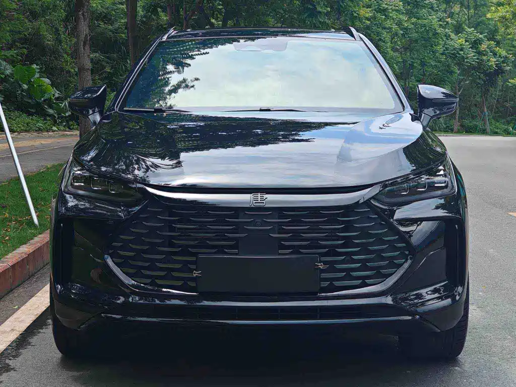 BYD Tang New Energy — миниатюра 2