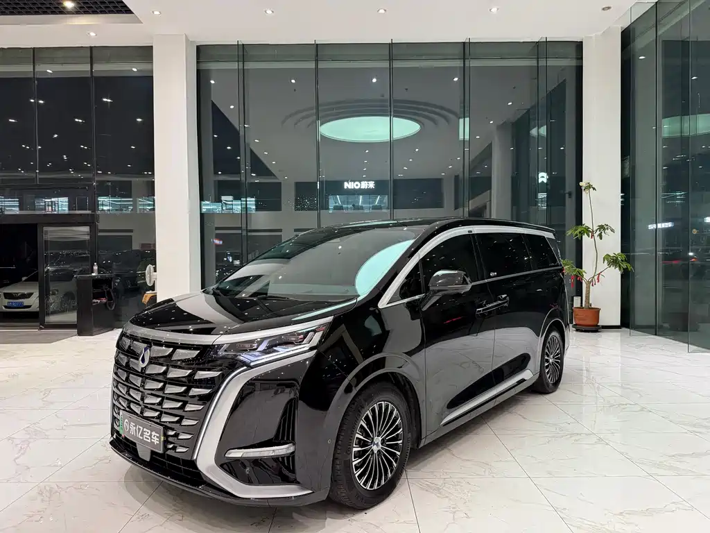 Denza Denza D9 — миниатюра 3
