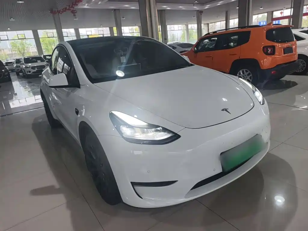 Tesla Model Y — миниатюра 4