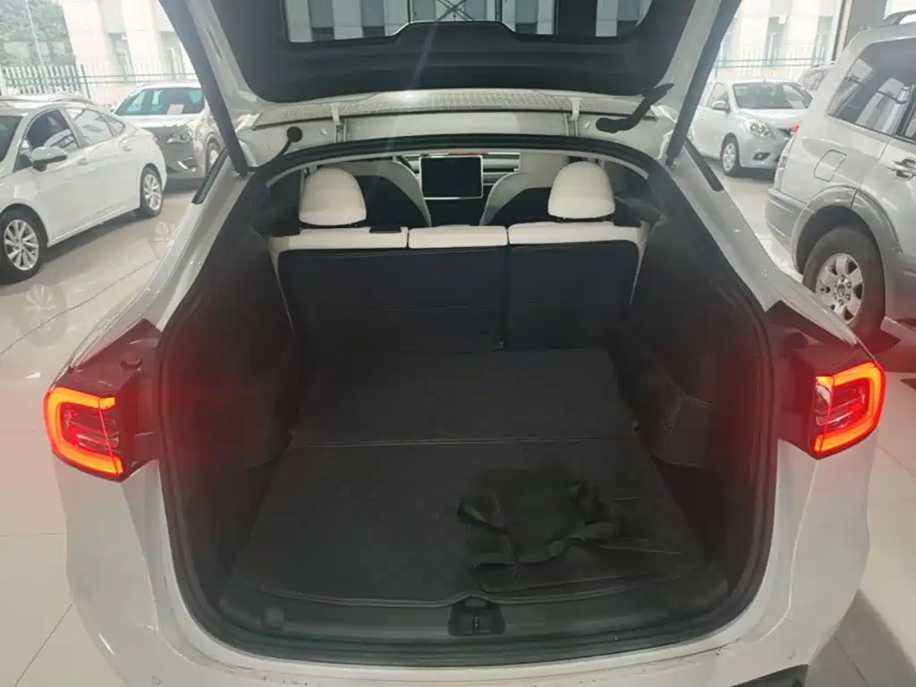 Tesla Model Y — миниатюра 19