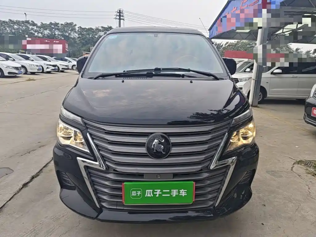 Fengxing Lingzhi — миниатюра 3
