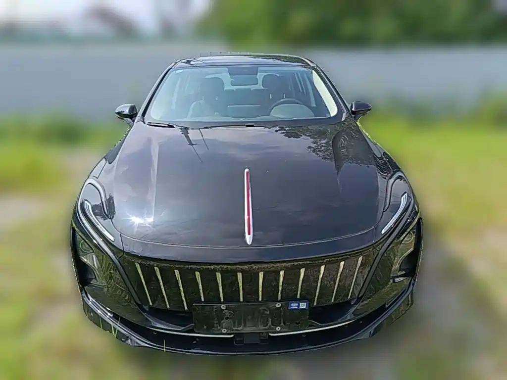 Hongqi Hongqi E-QM5 — миниатюра 5