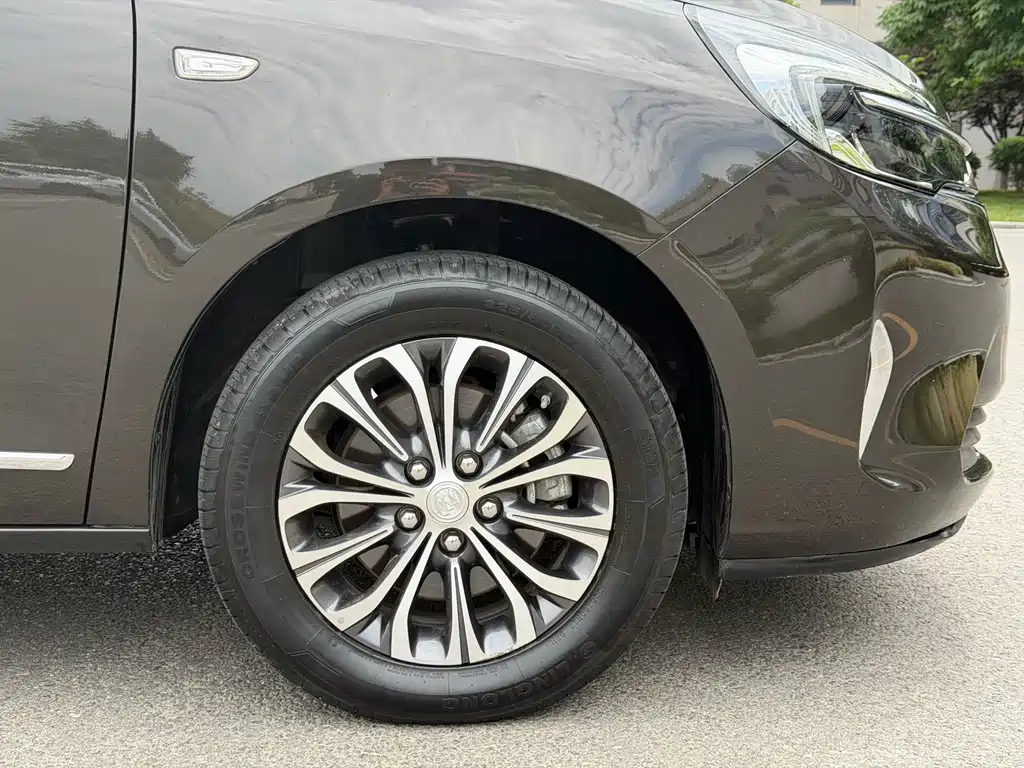 Buick GL8 — миниатюра 23