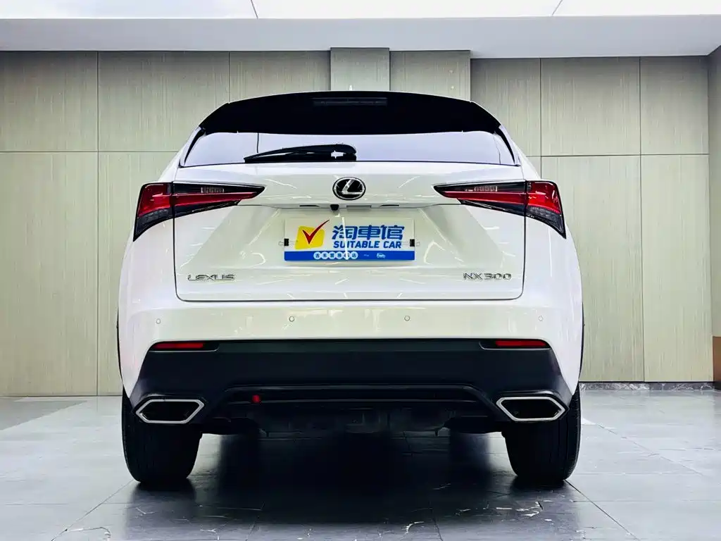 Lexus NX — миниатюра 5