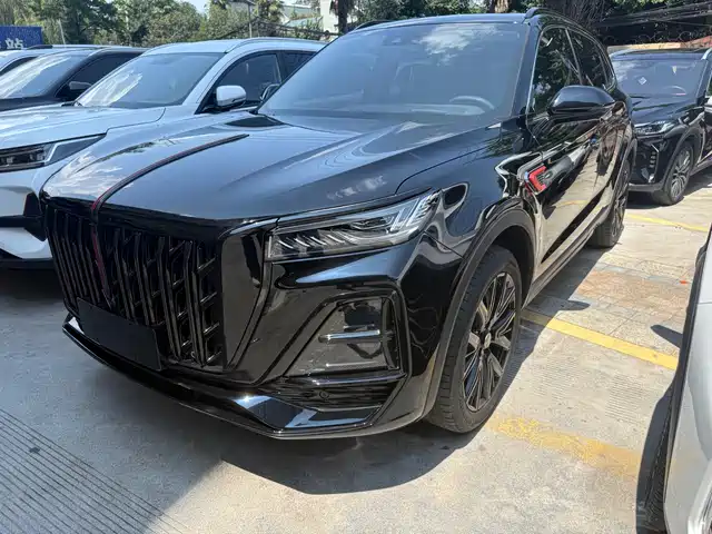 2025 Hongqi HS5