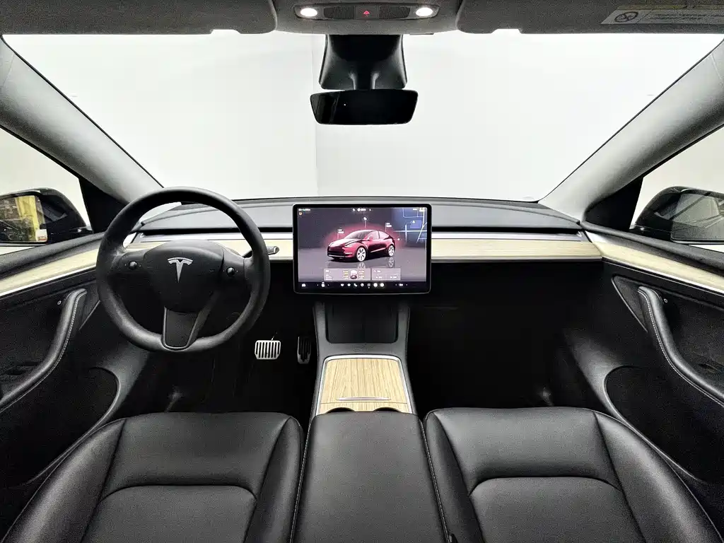 Tesla Model Y — миниатюра 11