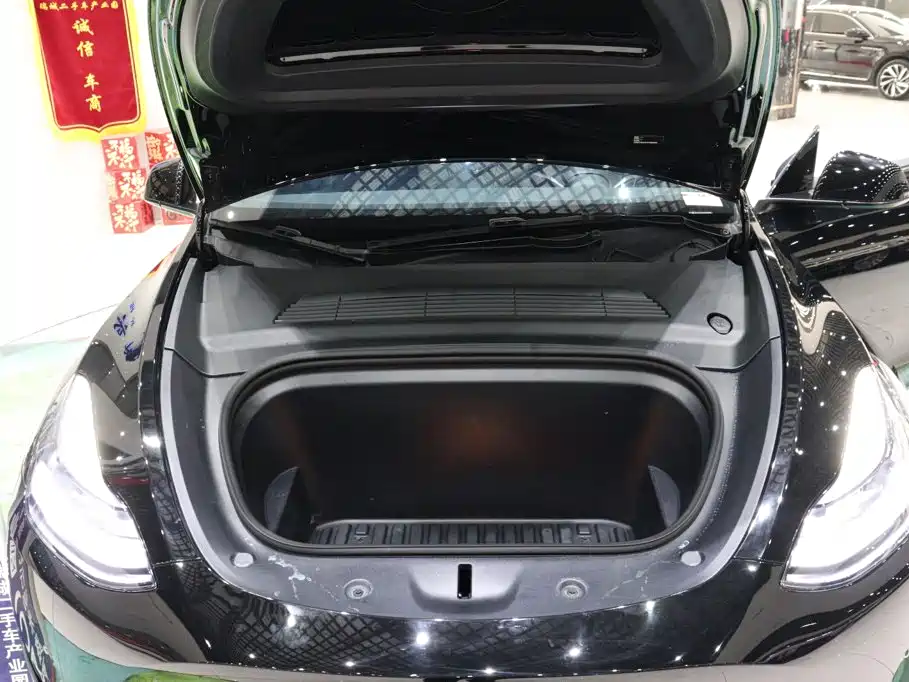 Tesla Model Y — миниатюра 20