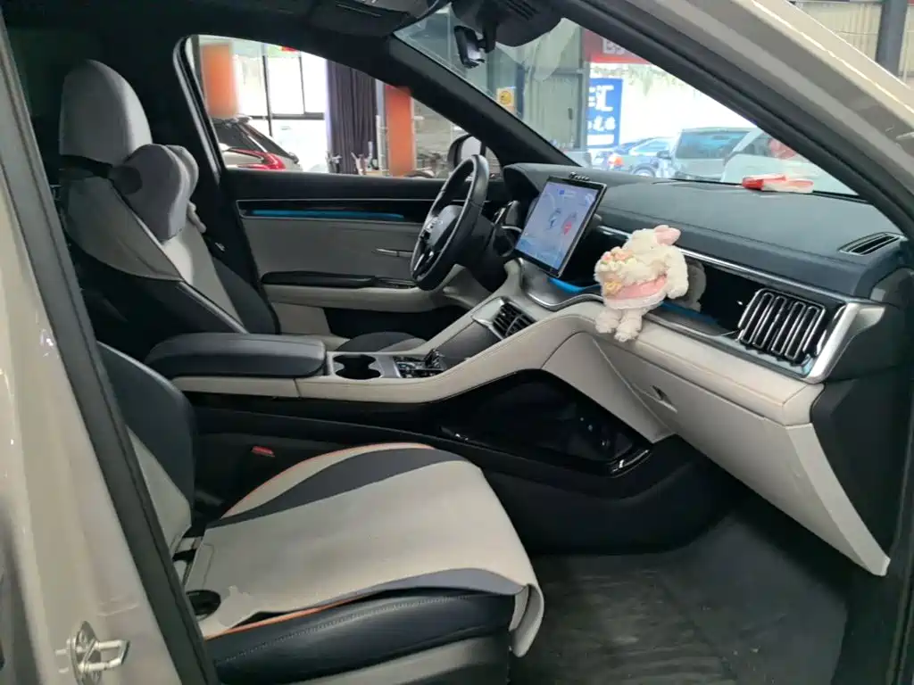 BYD PLUS New Energy — миниатюра 25