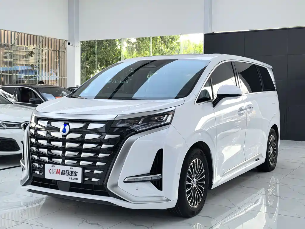 Denza Denza D9 2023