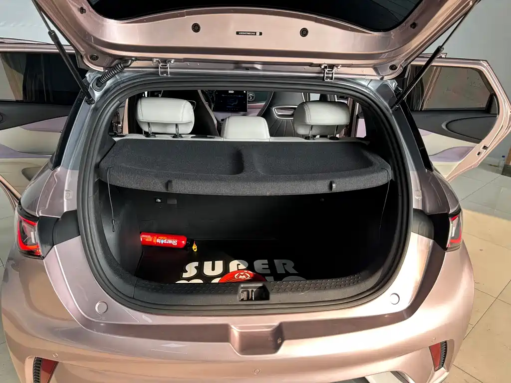 BYD Dolphin — миниатюра 10