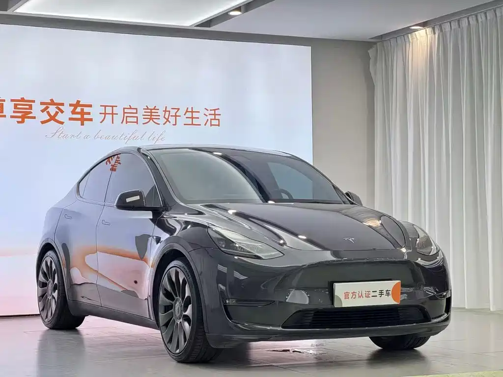 Tesla Model Y — миниатюра 3