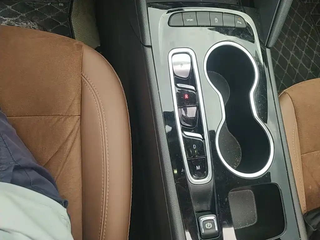 Buick Regal — миниатюра 14