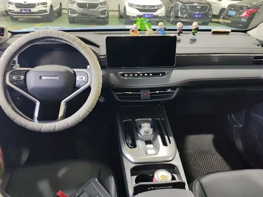 Haval Chulian — миниатюра 12