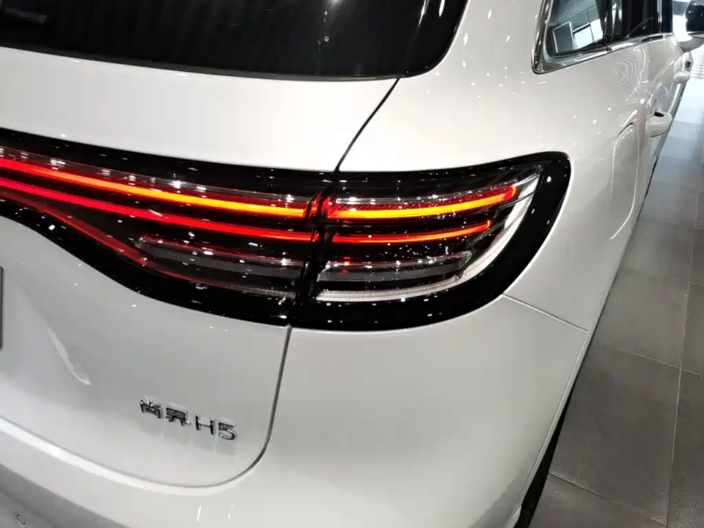 Shangjie Shangjie H5 — миниатюра 8