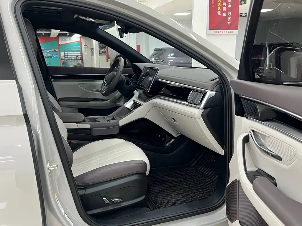 BYD PLUS New Energy — миниатюра 10