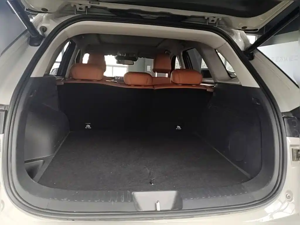 Haval Xiaolong MAX — миниатюра 24