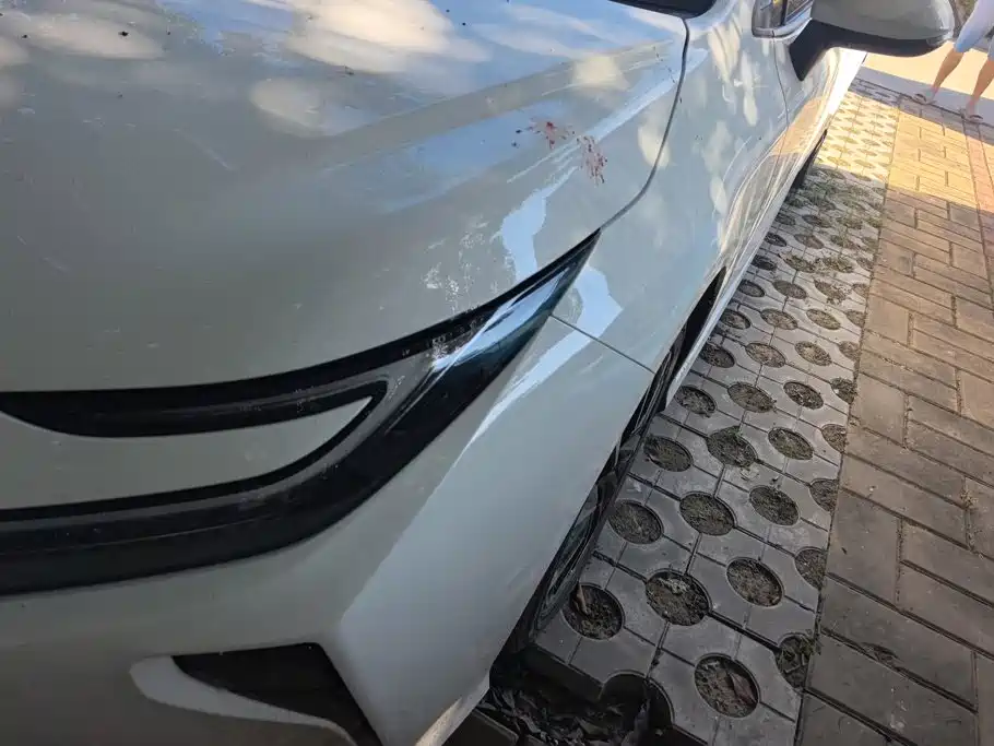 Toyota Corolla — миниатюра 5