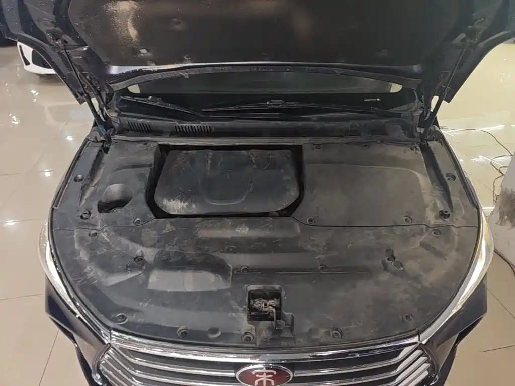 BYD MAX — миниатюра 20