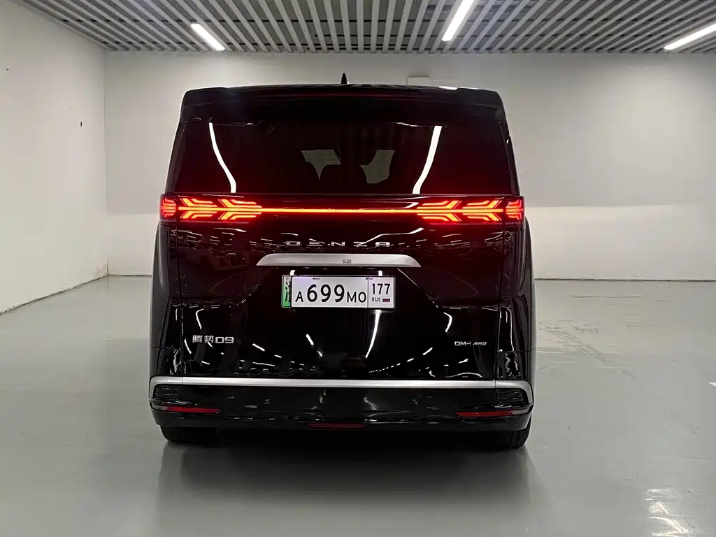 Denza Denza D9 — миниатюра 6